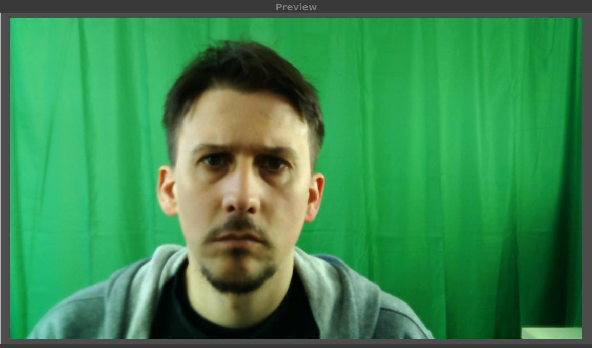 face cam: full frontal shot of my face in front of the PC
